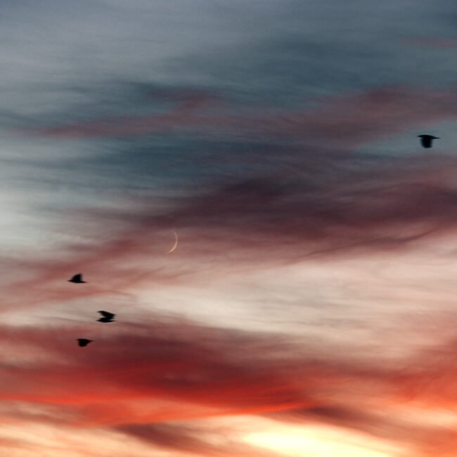 oiseaux, coucher de soleil et lune - Anne Gerzat